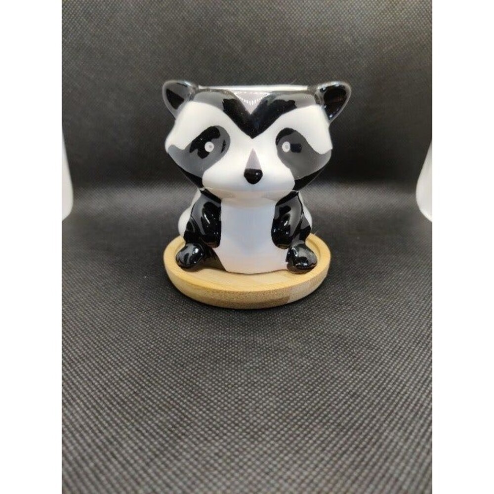 Ceramic Succulent Planter Racoon - Picture 2 of 5